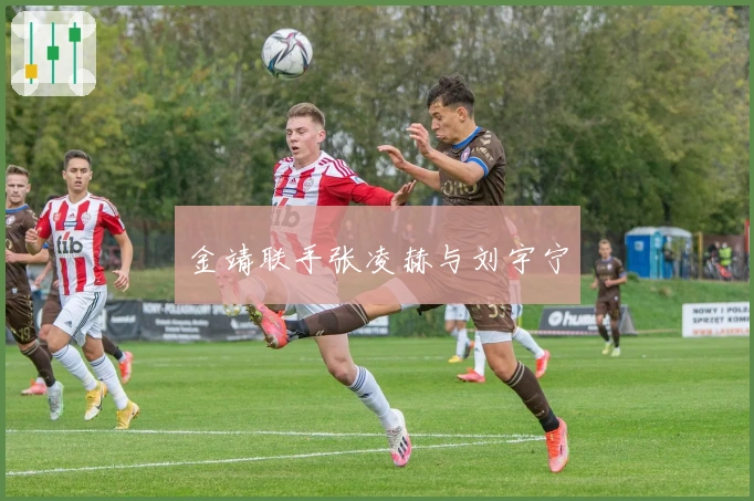 金靖联手张凌赫与刘宇宁